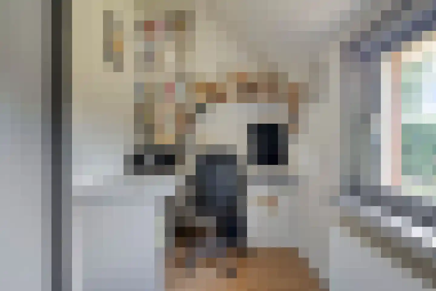 Molenwijk OZ 55 Klazienaveen thumbnail 6