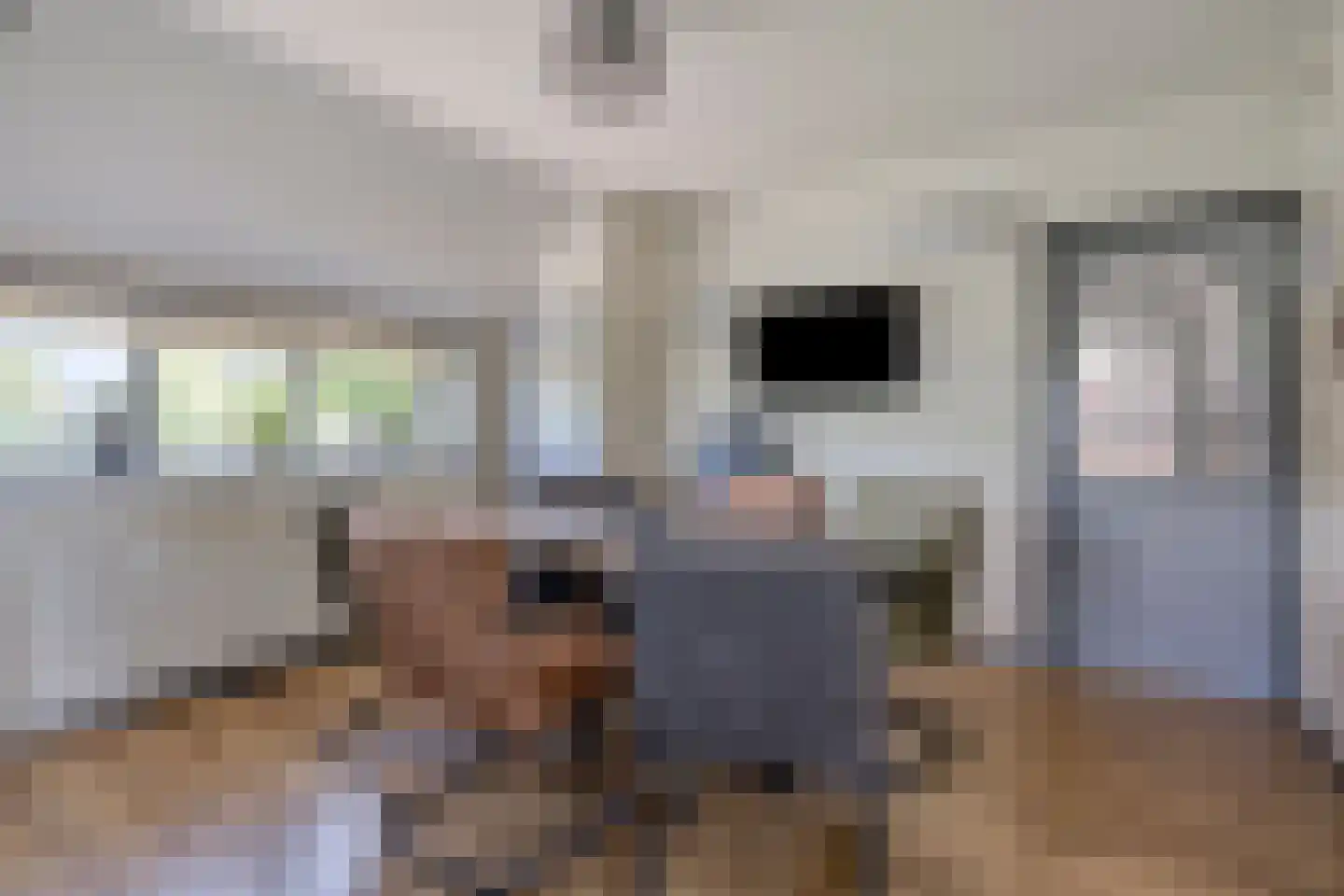 Molenwijk OZ 55 Klazienaveen thumbnail 7