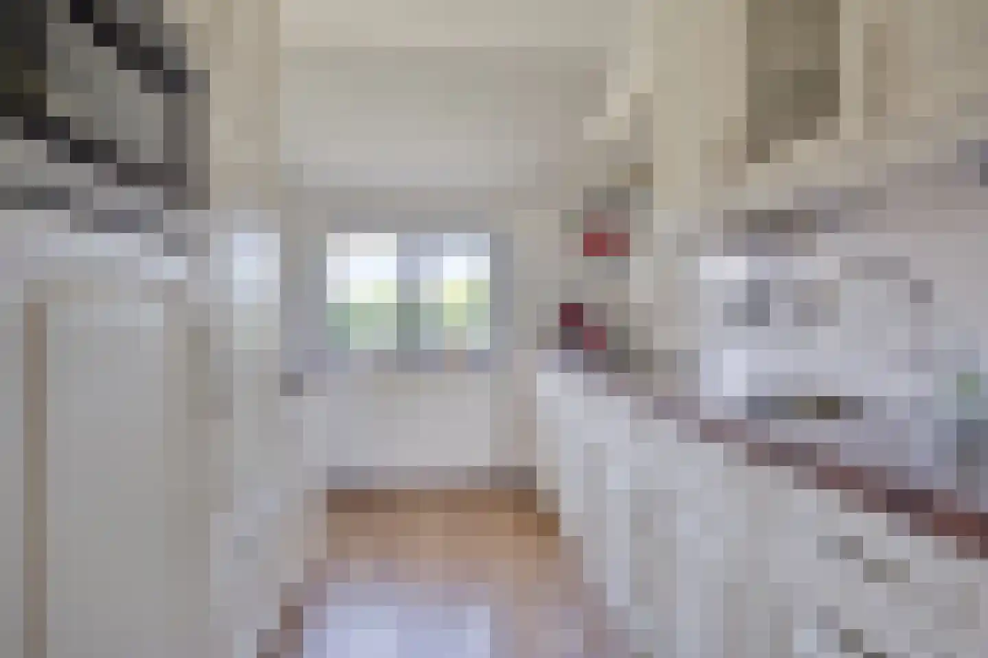 Molenwijk OZ 55 Klazienaveen thumbnail 8