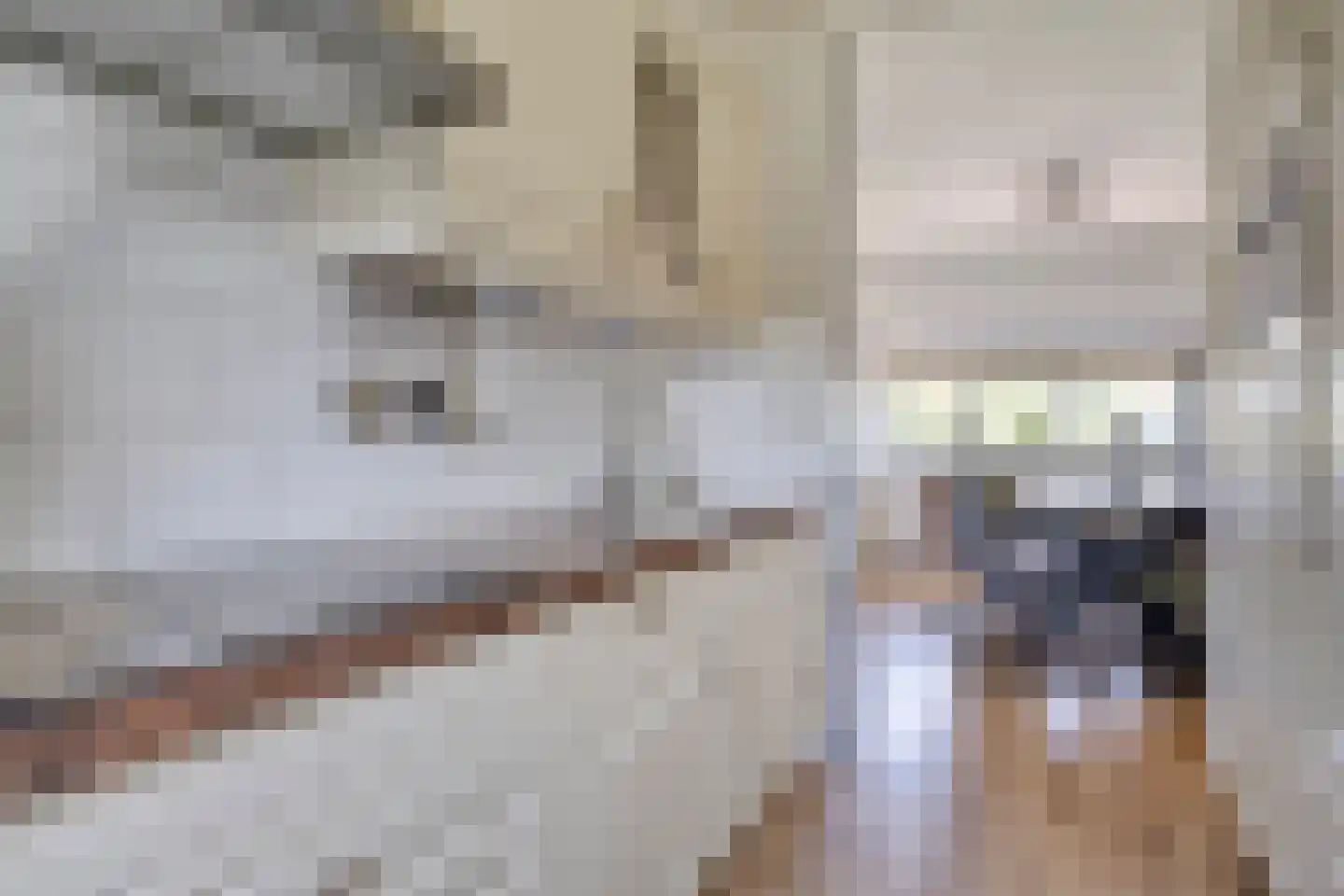 Molenwijk OZ 55 Klazienaveen thumbnail 9