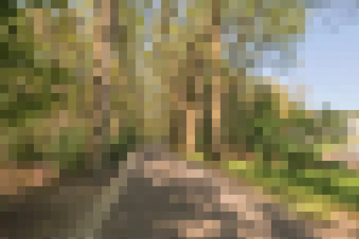Molenwijkseweg 64 Boxtel thumbnail 47