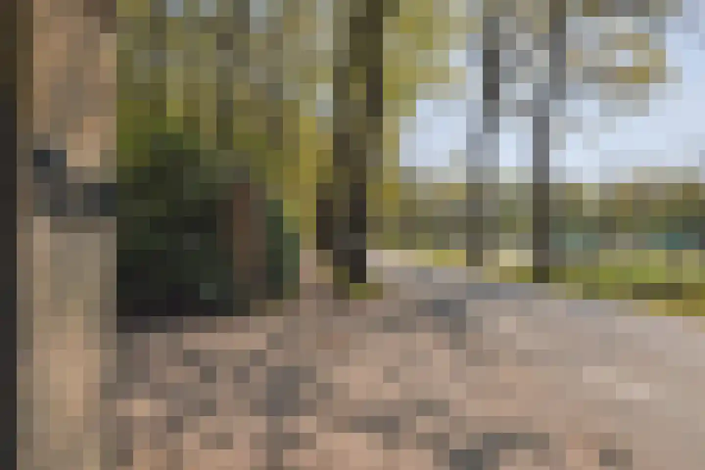 Molenwijkseweg 64 Boxtel thumbnail 50