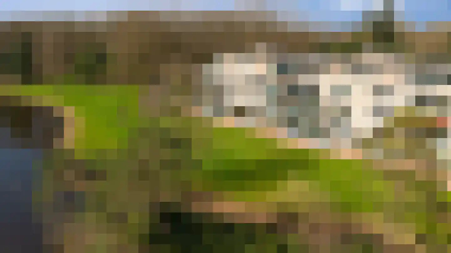 Molenwijkseweg 70 Boxtel thumbnail 53