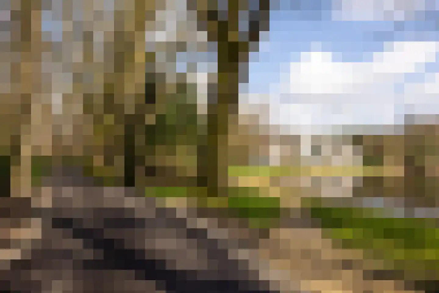 Molenwijkseweg 70 Boxtel thumbnail 59