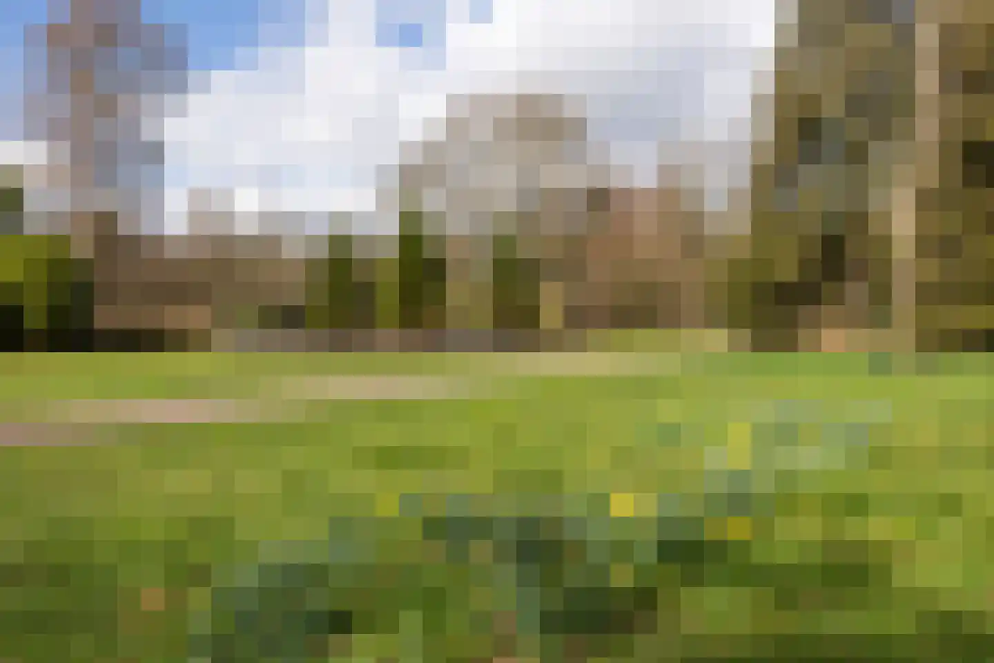 Molenwijkseweg 70 Boxtel thumbnail 61
