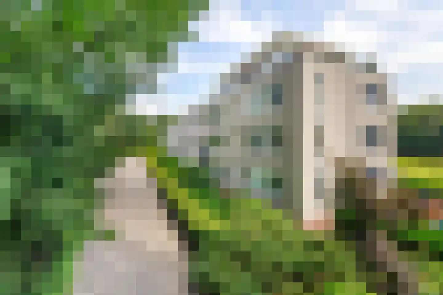 Molenwijkseweg 82 Boxtel thumbnail 33