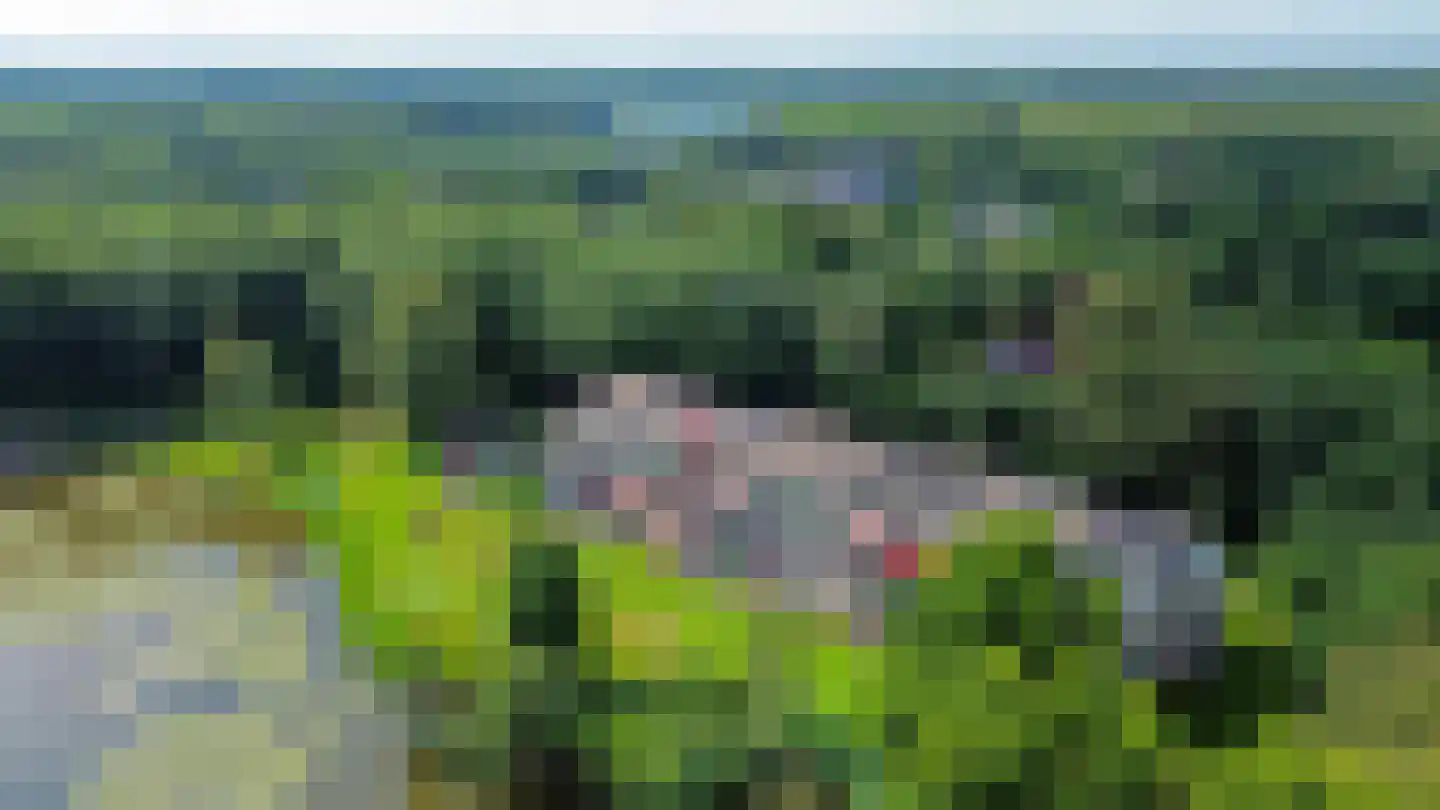 Molenwijkseweg 82 Boxtel thumbnail 42