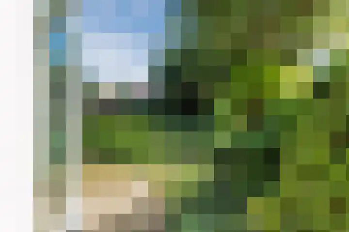 Molenwindsingel 38 Culemborg thumbnail 35