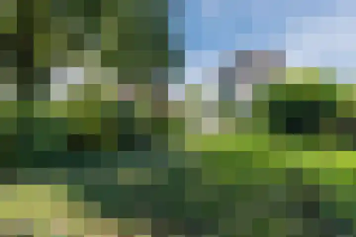 Molenwindsingel 38 Culemborg thumbnail 36