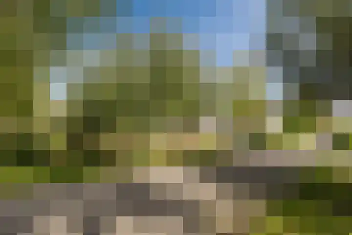 Molenwindsingel 38 Culemborg thumbnail 37