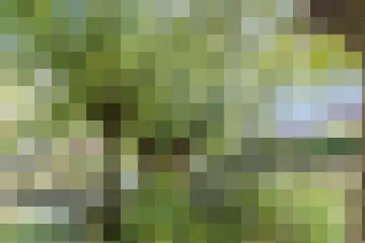 Molenwindsingel 38 Culemborg thumbnail 38
