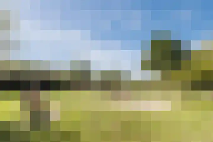 Molenwindsingel 38 Culemborg thumbnail 4