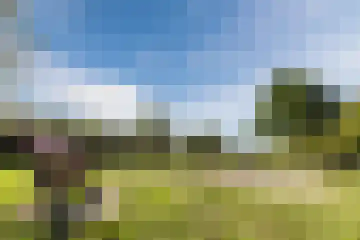 Molenwindsingel 38 Culemborg thumbnail 41