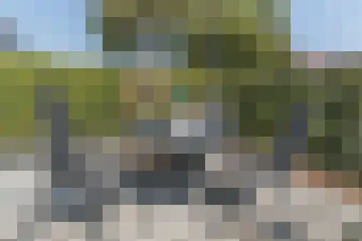 Molenwindsingel 40 Culemborg thumbnail 32