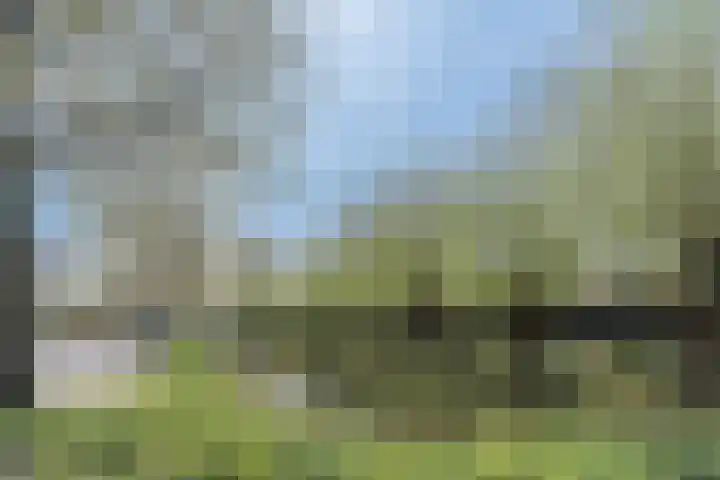 Molenwindsingel 40 Culemborg thumbnail 38