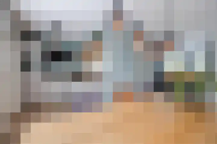 Molenzicht 143 Dirksland thumbnail 16