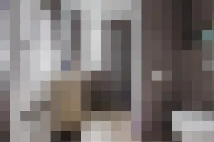 Molenzicht 143 Dirksland thumbnail 31