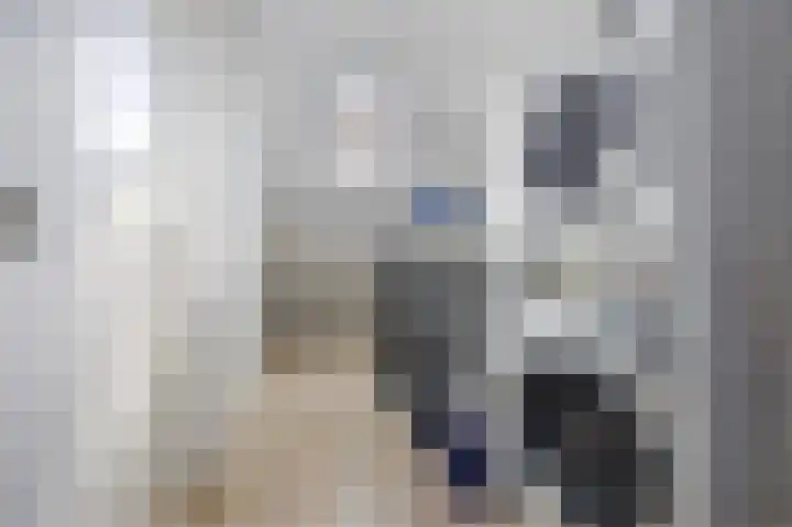 Molenzicht 143 Dirksland thumbnail 36