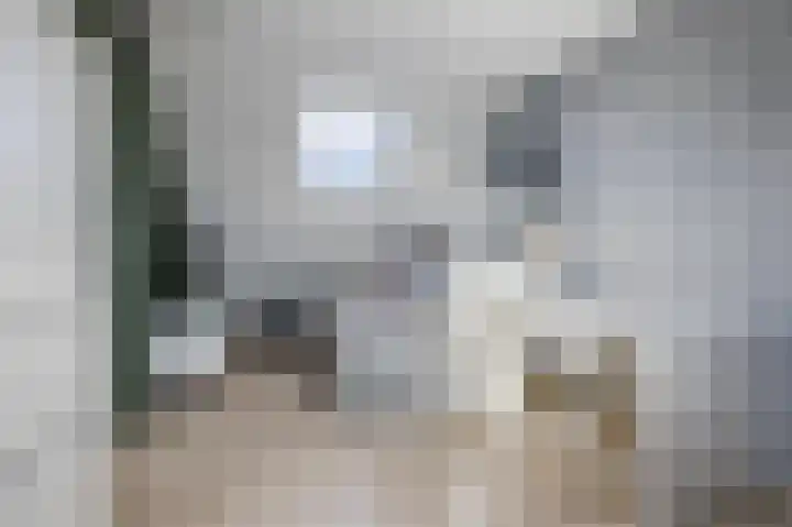 Molenzicht 143 Dirksland thumbnail 39
