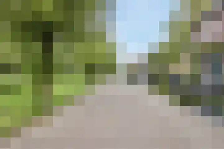 Molenzicht 143 Dirksland thumbnail 4