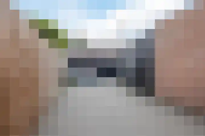 Molenzicht 143 Dirksland thumbnail 48