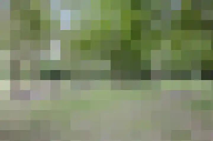 Molenzicht 143 Dirksland thumbnail 49
