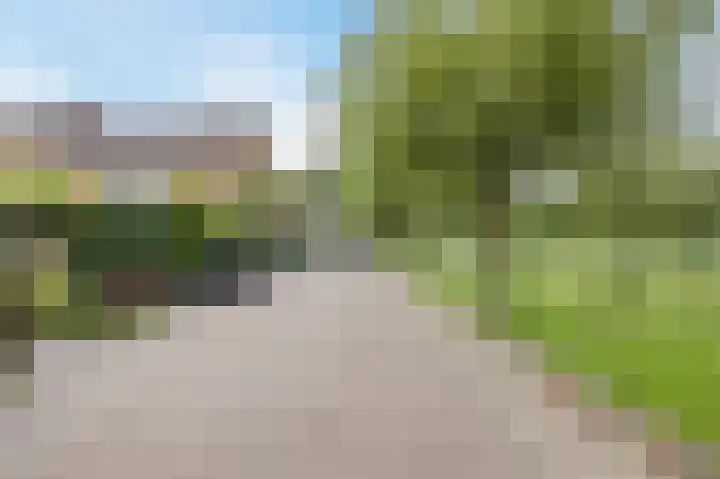 Molenzicht 143 Dirksland thumbnail 5