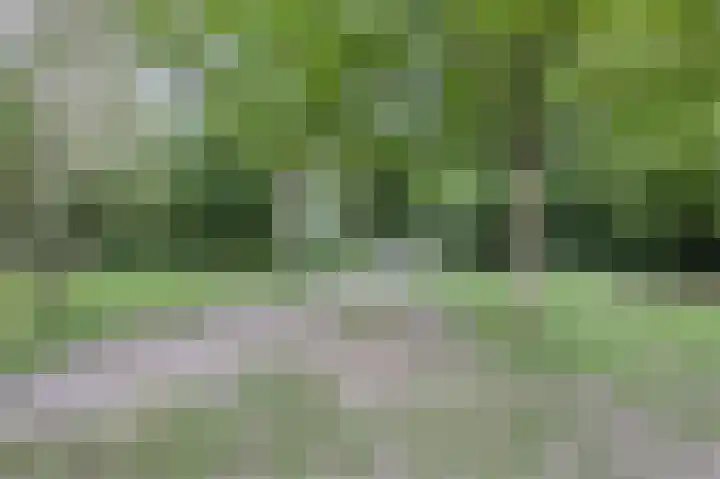 Molenzicht 143 Dirksland thumbnail 50