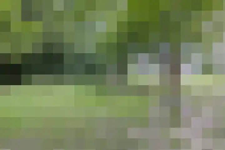 Molenzicht 143 Dirksland thumbnail 51