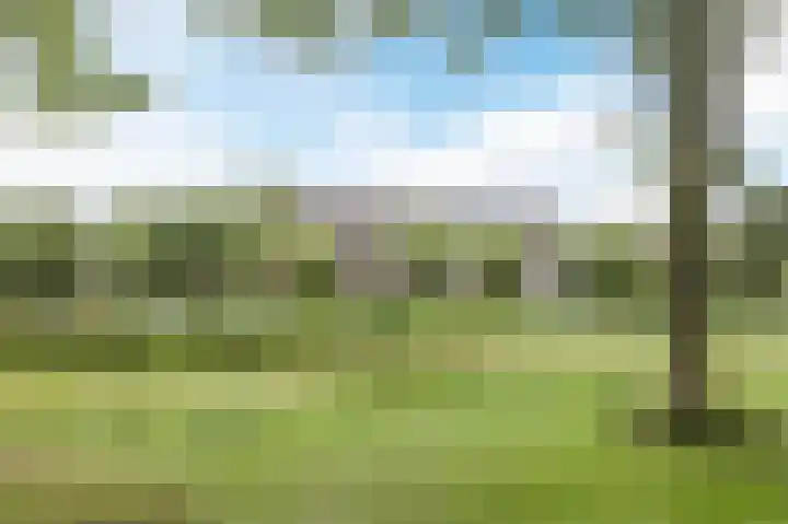 Molenzicht 143 Dirksland thumbnail 52