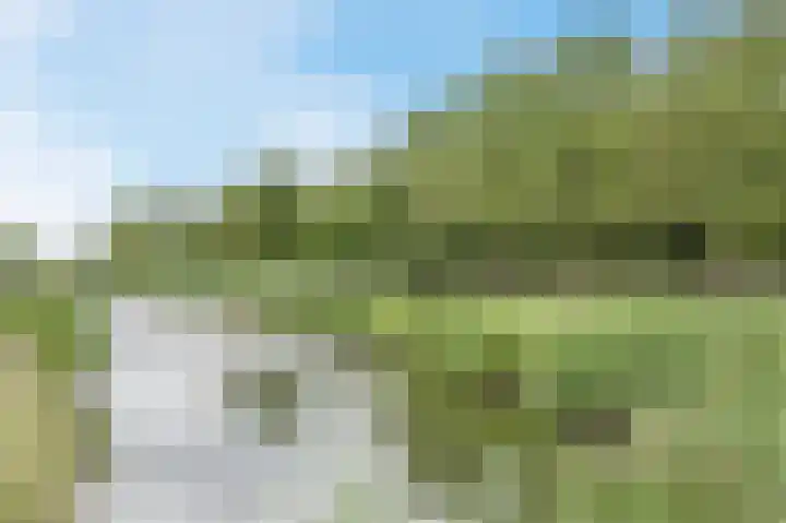 Molenzicht 143 Dirksland thumbnail 53