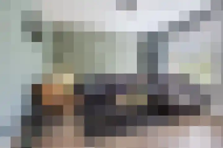 Molenzicht 143 Dirksland thumbnail 7