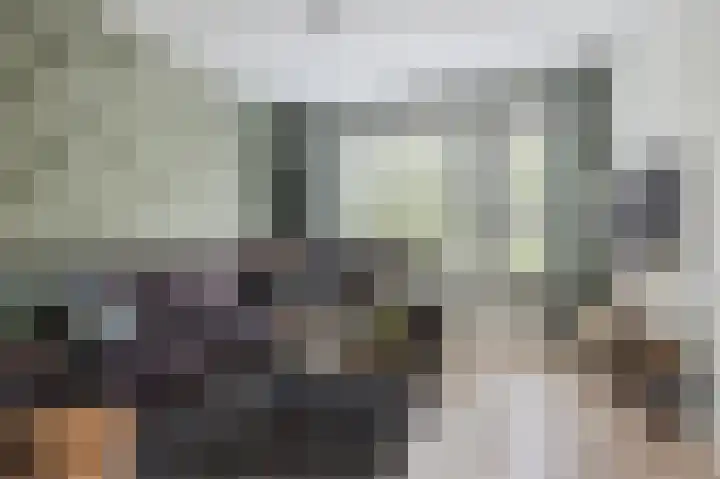Molenzicht 143 Dirksland thumbnail 8