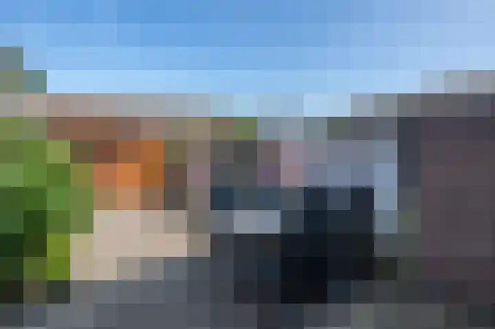 Molenzicht 145 Dirksland thumbnail 27