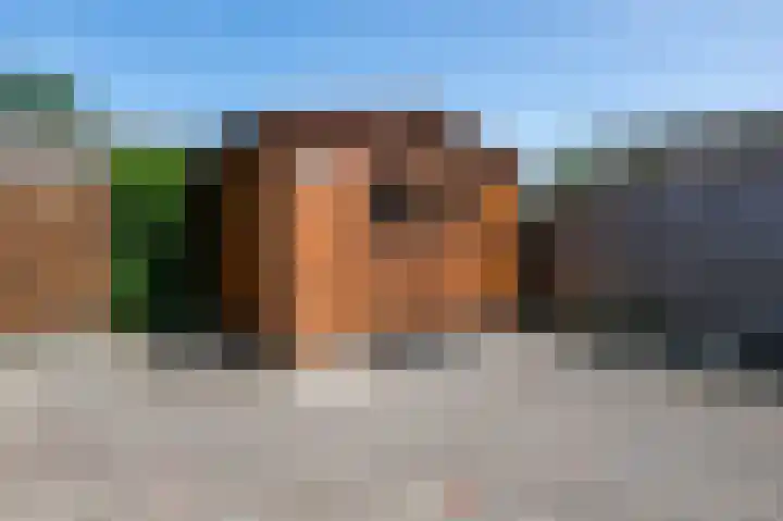 Molenzicht 145 Dirksland thumbnail 29
