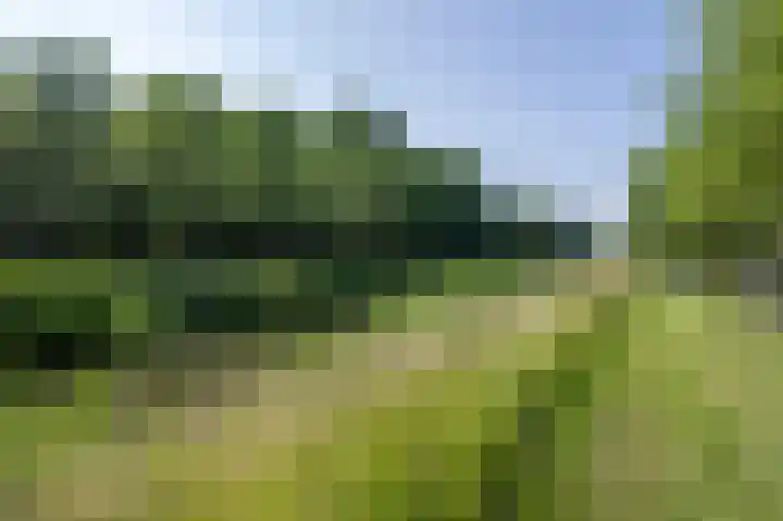Molenzicht 145 Dirksland thumbnail 35