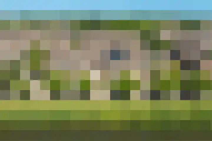 Molenzicht 145 Dirksland thumbnail 5