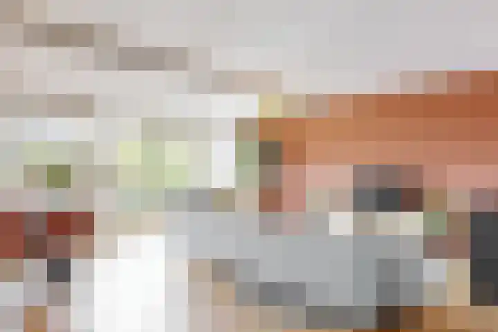 Molenzicht 15 Leiden thumbnail 10