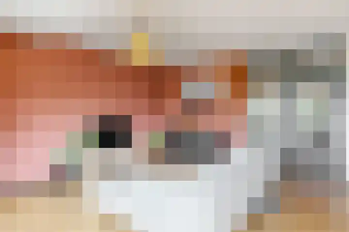 Molenzicht 15 Leiden thumbnail 13