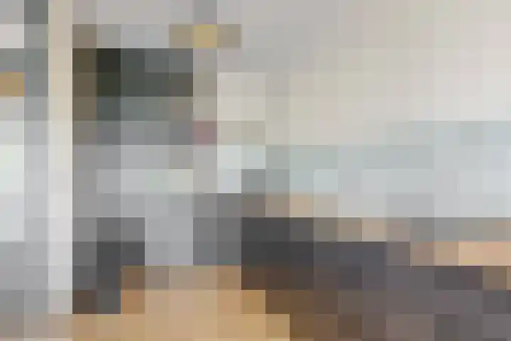 Molenzicht 15 Leiden thumbnail 14