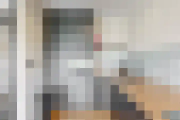 Molenzicht 15 Leiden thumbnail 15