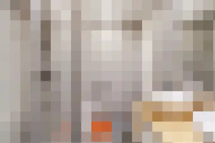Molenzicht 15 Leiden thumbnail 16