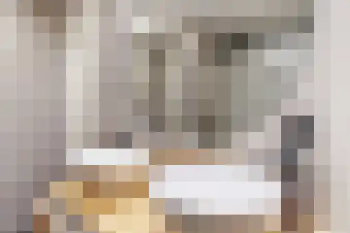 Molenzicht 15 Leiden thumbnail 17