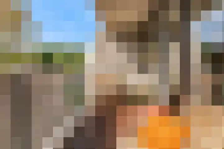 Molenzicht 15 Leiden thumbnail 22