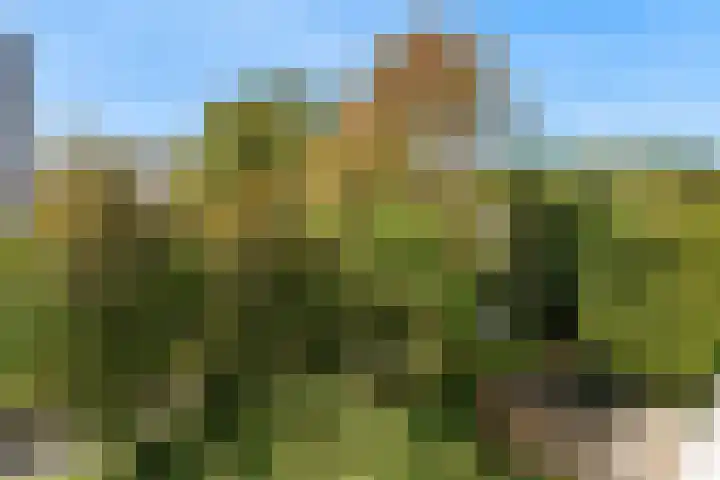 Molenzicht 15 Leiden thumbnail 24
