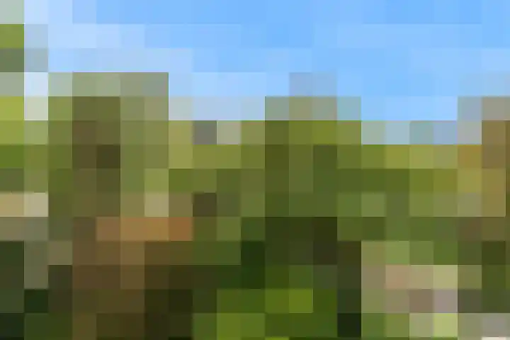 Molenzicht 15 Leiden thumbnail 25