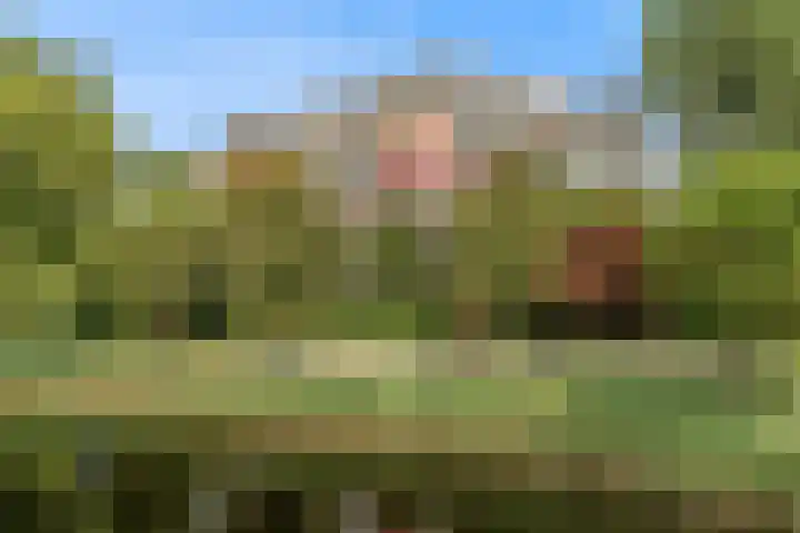 Molenzicht 15 Leiden thumbnail 26