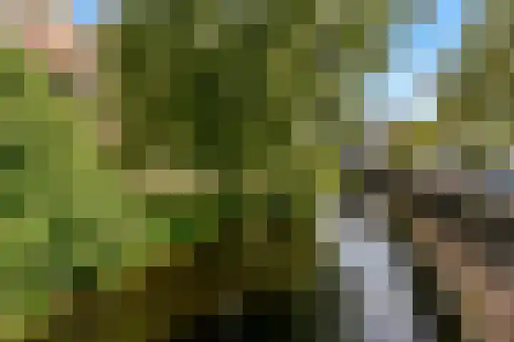Molenzicht 15 Leiden thumbnail 27
