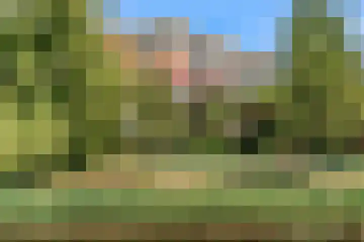 Molenzicht 15 Leiden thumbnail 29