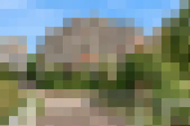 Molenzicht 15 Leiden thumbnail 30